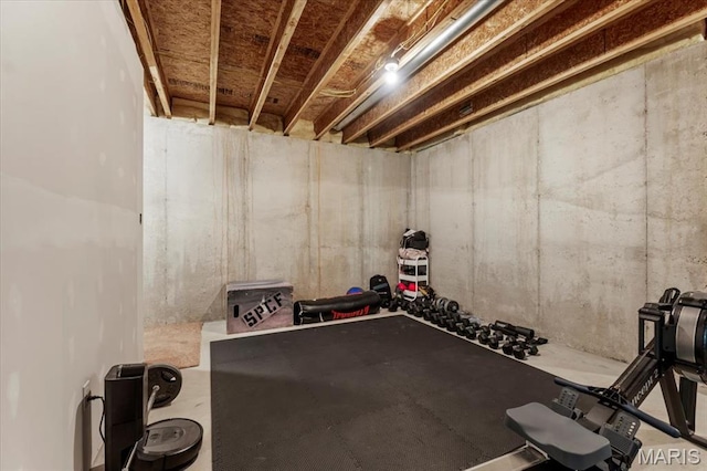 1412 Heritage Valley Dr, High Ridge, MO 63049 - view of exercise area