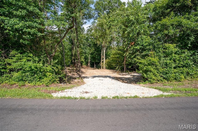 0 W Cape Rock Dr, Lot Cape Girardeau, MO 63701 - photo 6
