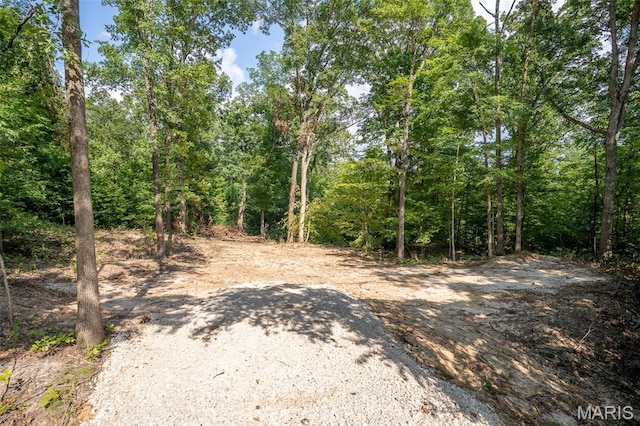 0 W Cape Rock Dr, Lot Cape Girardeau, MO 63701 - photo 7