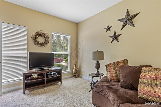 5502 Bellemeade Trail Ct, Saint Louis, MO 63129 - photo 11