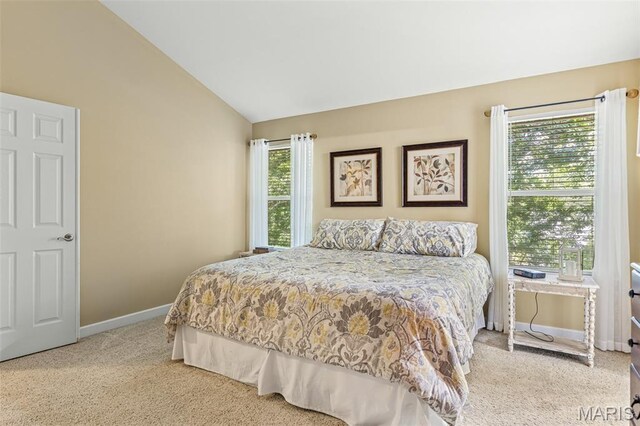 5502 Bellemeade Trail Ct, Saint Louis, MO 63129 - photo 30