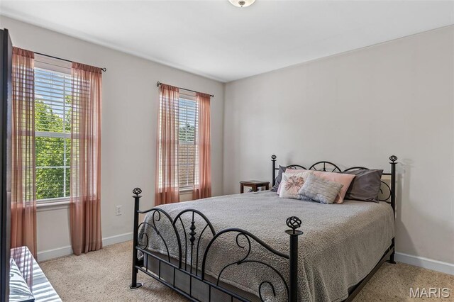 5502 Bellemeade Trail Ct, Saint Louis, MO 63129 - photo 37