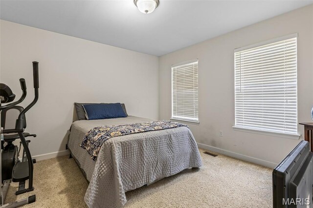 5502 Bellemeade Trail Ct, Saint Louis, MO 63129 - photo 39