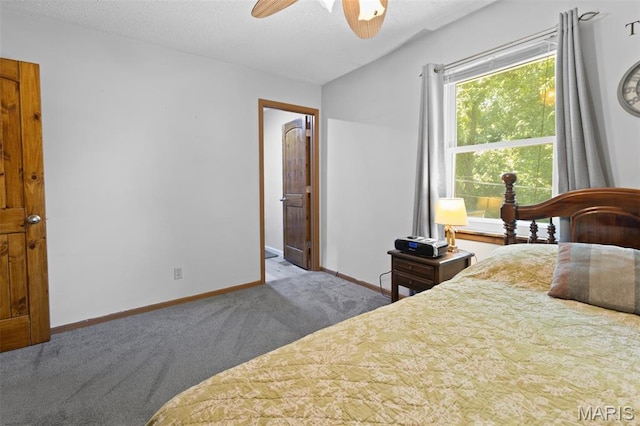205 Woodbine St, Park Hills, MO 63601 - photo 14
