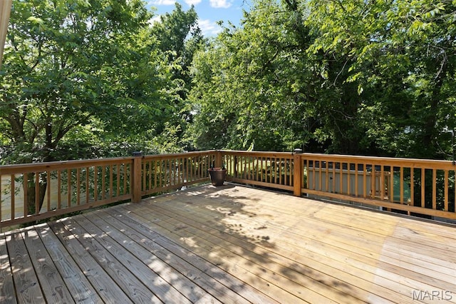 205 Woodbine St, Park Hills, MO 63601 - photo 40