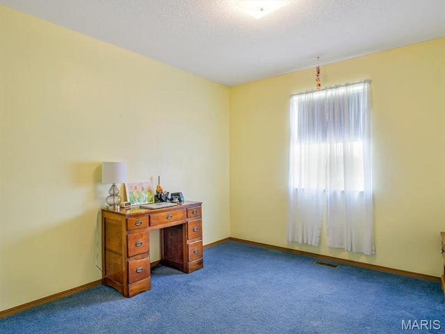 1 Wild Horse Ct, Troy, IL 62294 - unfurnished office with carpet flooring and a textured ceiling