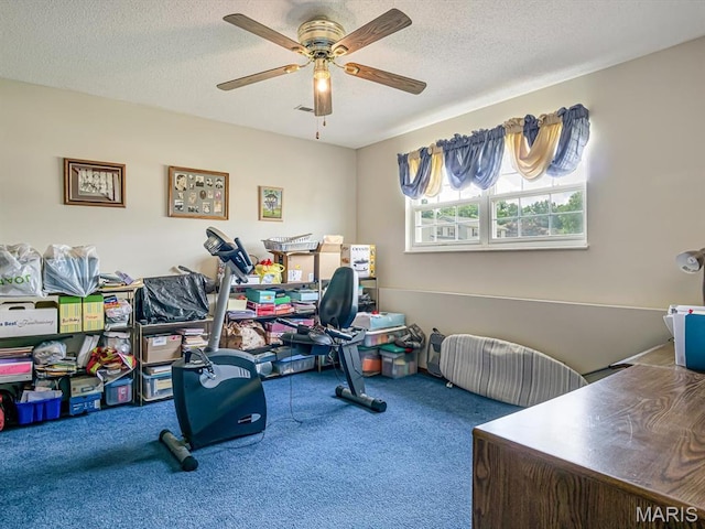 1 Wild Horse Ct, Troy, IL 62294 - office space featuring carpet floors, a ceiling fan, and a textured ceiling
