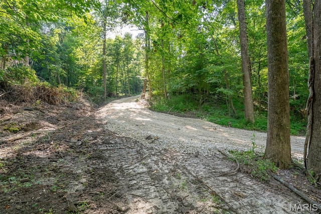 0 Old Sprigg Street Rd, Lot Cape Girardeau, MO 63701 - photo 3