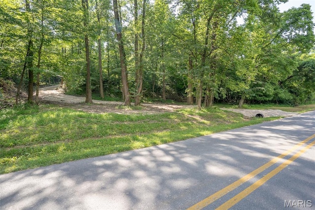 0 Old Sprigg Street Rd, Lot Cape Girardeau, MO 63701 - photo 4