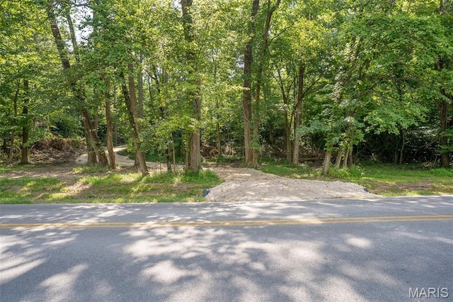 0 Old Sprigg Street Rd, Lot Cape Girardeau, MO 63701 - photo 5