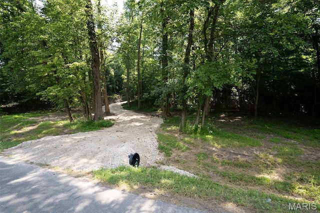0 Old Sprigg Street Rd, Lot Cape Girardeau, MO 63701 - photo 6