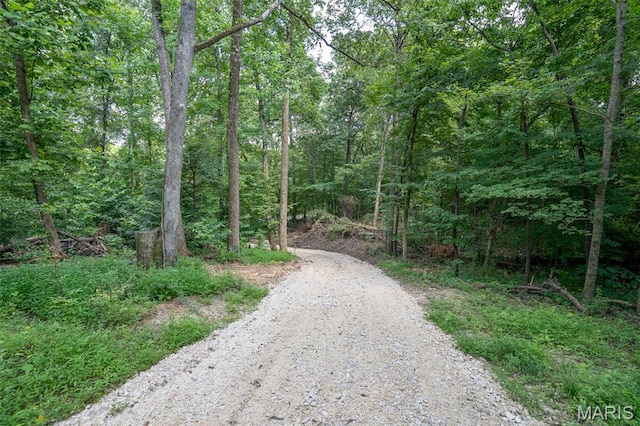 0 Old Sprigg Street Rd, Lot Cape Girardeau, MO 63701 - photo 7