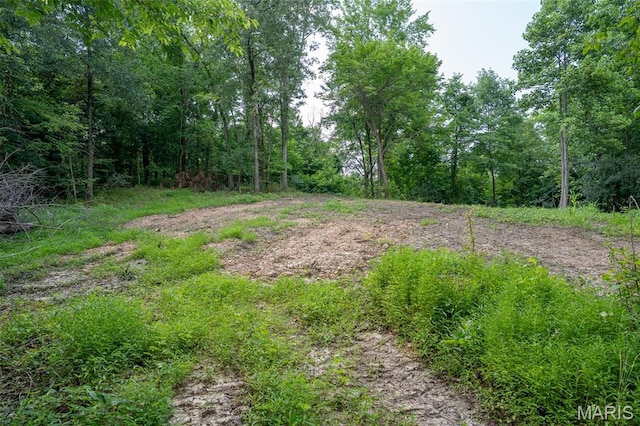 0 Old Sprigg Street Rd, Lot Cape Girardeau, MO 63701 - photo 8
