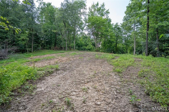 0 Old Sprigg Street Rd, Lot Cape Girardeau, MO 63701 - photo 9