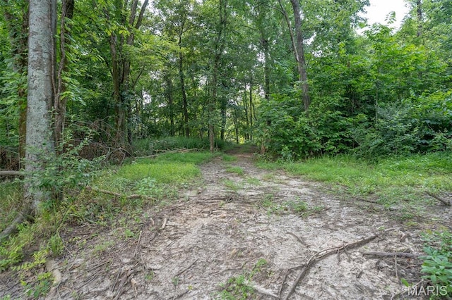 0 Old Sprigg Street Rd, Lot Cape Girardeau, MO 63701 - photo 10