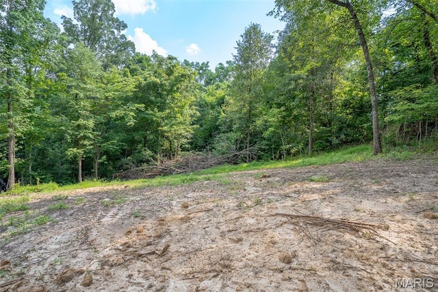 0 Old Sprigg Street Rd, Lot Cape Girardeau, MO 63701 - photo 11