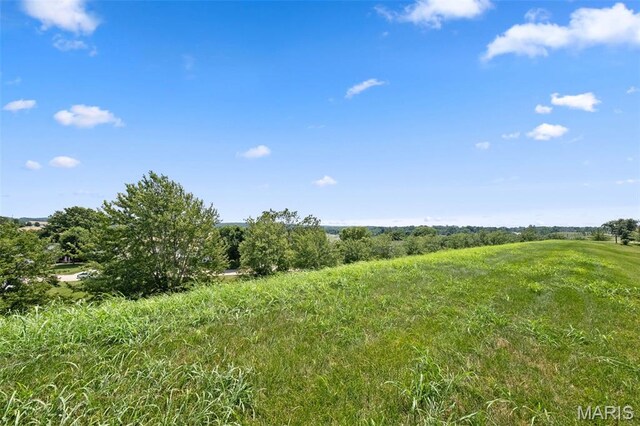 2428 Sunset Ridge Dr, Columbia, IL 62236 - photo 48