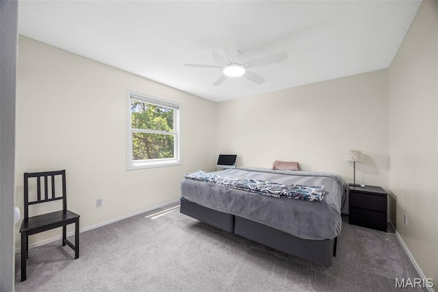 12182 Royal Valley Dr, Creve Coeur, MO 63141