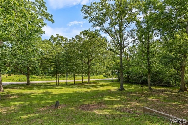 8076 T Hwy, Fredericktown, MO 63645 - photo 13