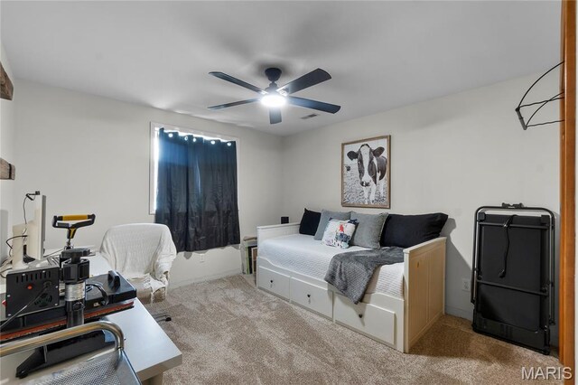 11 Osage Cir, Perryville, MO 63775 - photo 27