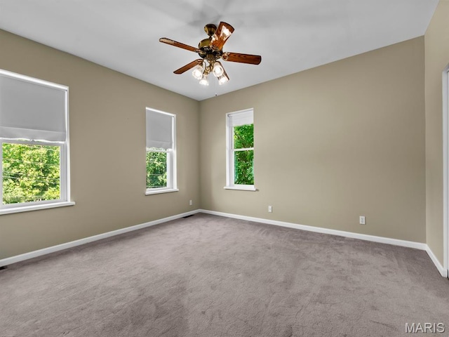 220 W Cleveland Ave, Belleville, IL 62220 - photo 13