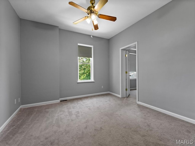 220 W Cleveland Ave, Belleville, IL 62220 - photo 58