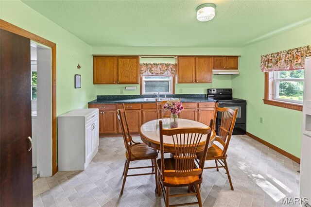 18 Henry St, Prairie Du Rocher, IL 62277 - photo 17