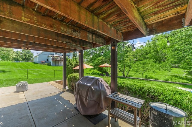 391 Carriage Trail Ct, Ofallon, MO 63368 - view of patio / terrace featuring grilling area