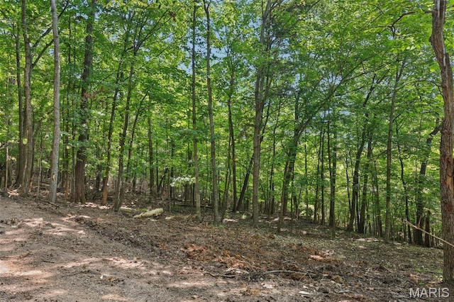 6300 Franks Rd, Byrnes Mill, MO 63051