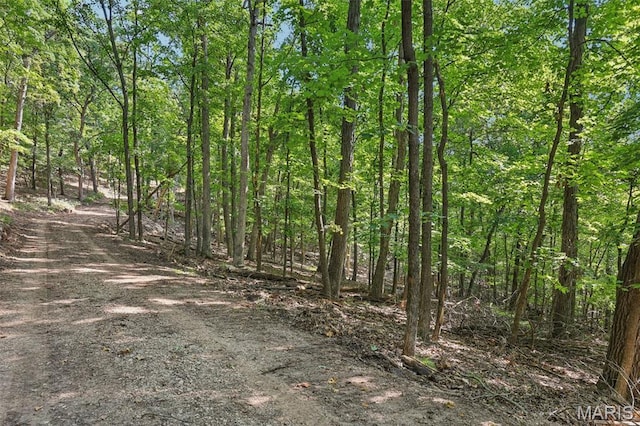 6300 Franks Rd, Byrnes Mill, MO 63051