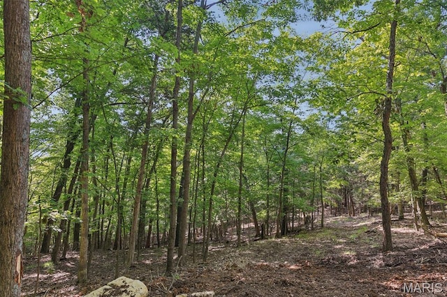 6300 Franks Rd, Byrnes Mill, MO 63051