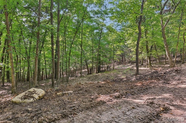 6300 Franks Rd, Byrnes Mill, MO 63051