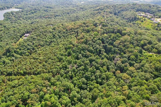 6300 Franks Rd, Byrnes Mill, MO 63051