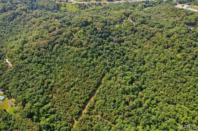 6300 Franks Rd, Byrnes Mill, MO 63051