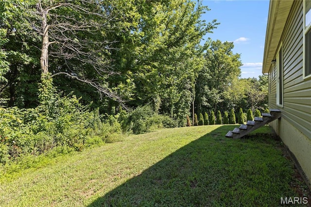 111 Rivers Edge Dr, Moscow Mills, MO 63362 - view of green lawn