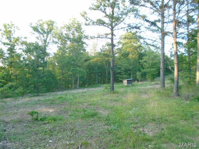 1210 Hidden Valley Lks, Annapolis, MO 63620 - photo 1