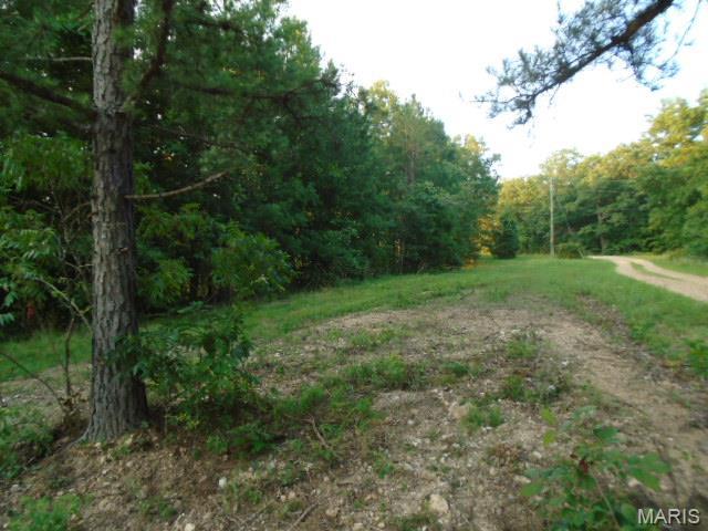 1210 Hidden Valley Lks, Annapolis, MO 63620 - photo 3