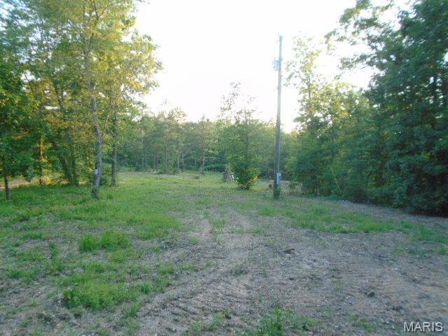 1210 Hidden Valley Lks, Annapolis, MO 63620 - photo 4