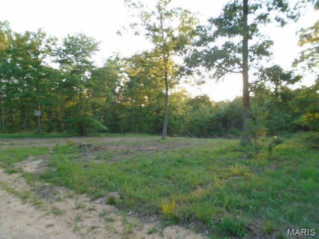 1210 Hidden Valley Lks, Annapolis, MO 63620 - photo 5