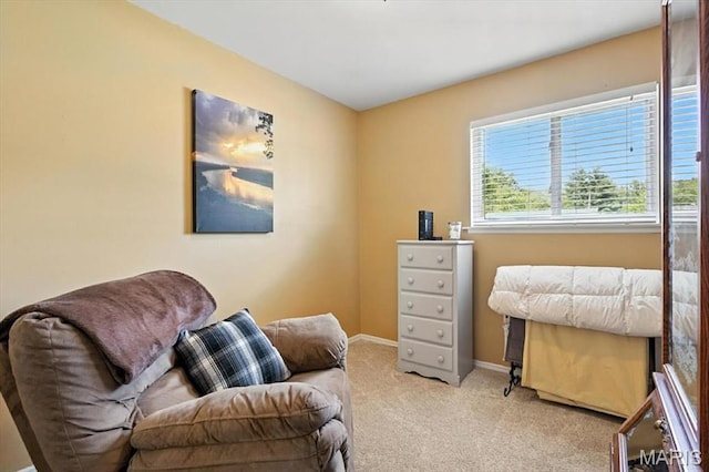 314 Weber Dr, Eureka, MO 63025 - sitting room with carpet and baseboards