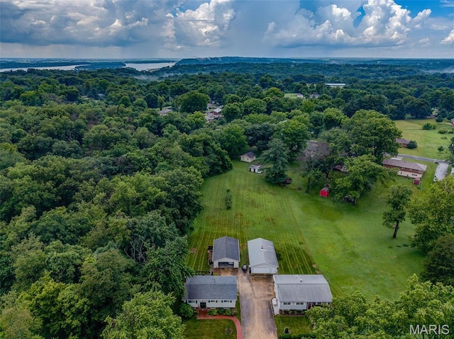 3200 Ridgeway Ave, Godfrey, IL 62035 - aerial view of a heavily wooded area