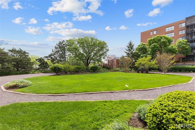 710 S Hanley Rd Unit 18B, Clayton, MO 63105 - photo 43