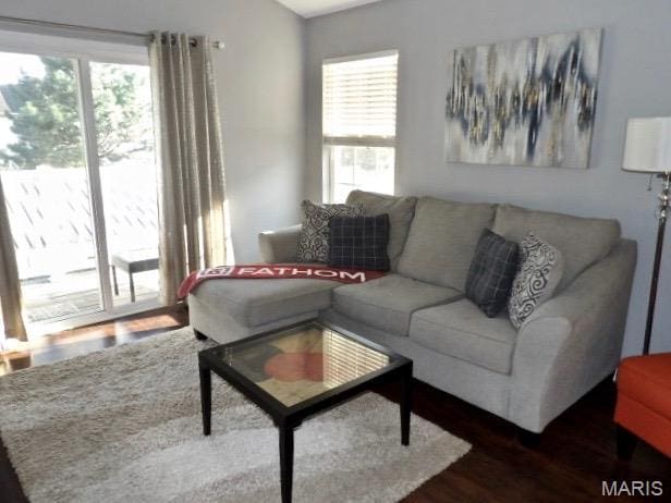 7302 Spring Creek Ln, Ofallon, MO 63368 - living area with healthy amount of natural light and wood finished floors