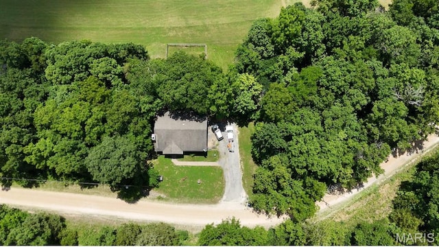 176 Briarwood Ter, De Soto, MO 63020 - view from above of property