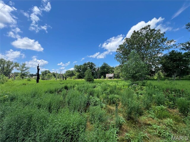 Listing photo - caption unavailable