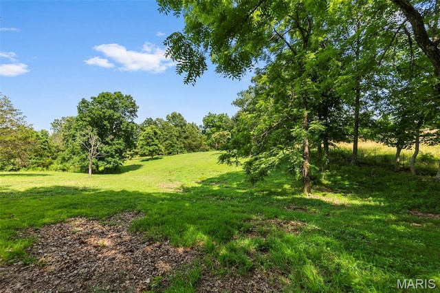 10946 State Highway 72, Patton, MO 63662 - photo 9