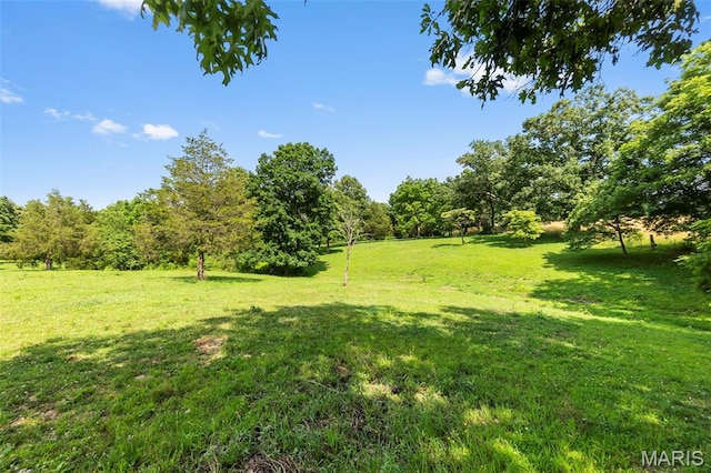 10946 State Highway 72, Patton, MO 63662 - photo 10