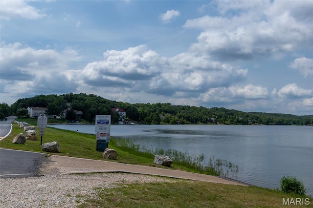 10201 Lake Hill Trl, Hillsboro, MO 63050