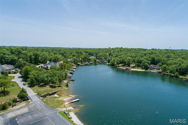 10201 Lake Hill Trl, Hillsboro, MO 63050
