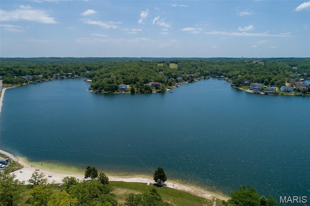 10201 Lake Hill Trl, Hillsboro, MO 63050